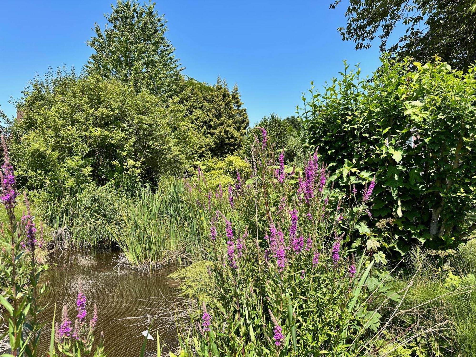 De Lange Akker Hotel Berg en Terblijt
